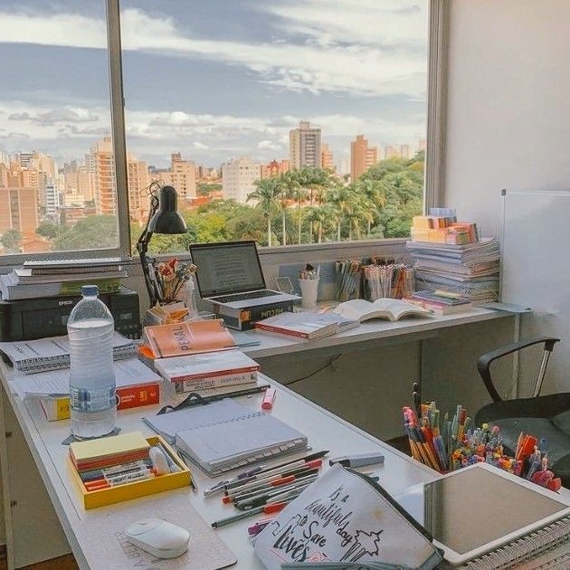 studywithmi's tweet image. Diário de uma garota que quer passar em medicina // leitora e dorameira nas horas vagas