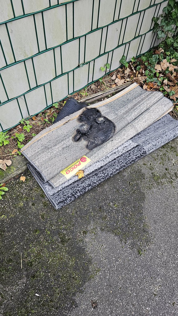 JikoFox's tweet photo. Considering this isn't the first time this happened, I feel like I should also talk about how my @RebuffReality Trackstrap Plus nearly burned down my apartment in the middle of November if it wouldn't have been for my neighbours being home that one specific day... https://t.co/aa1RQfs9Z5