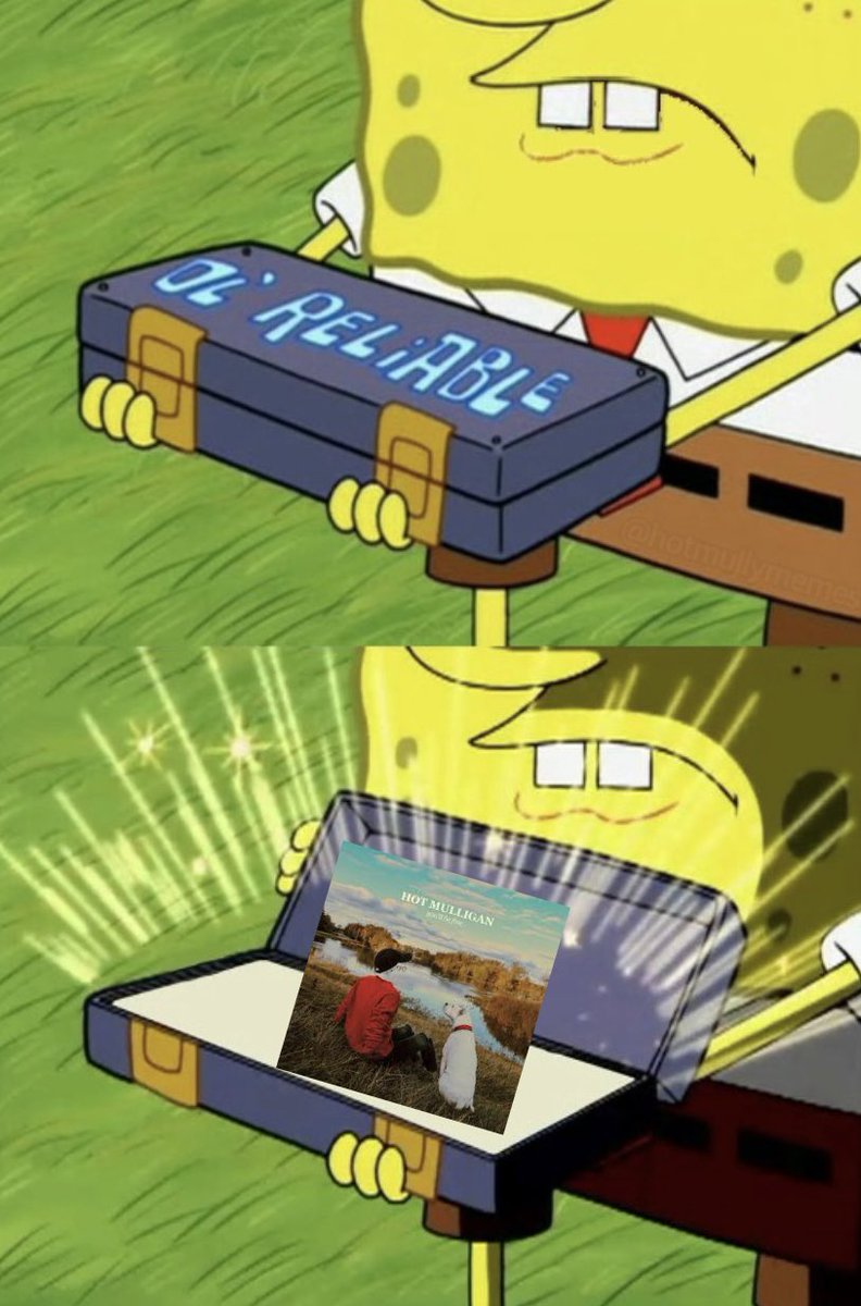 hotmullymemes's tweet photo. https://t.co/hn8avrH9XZ