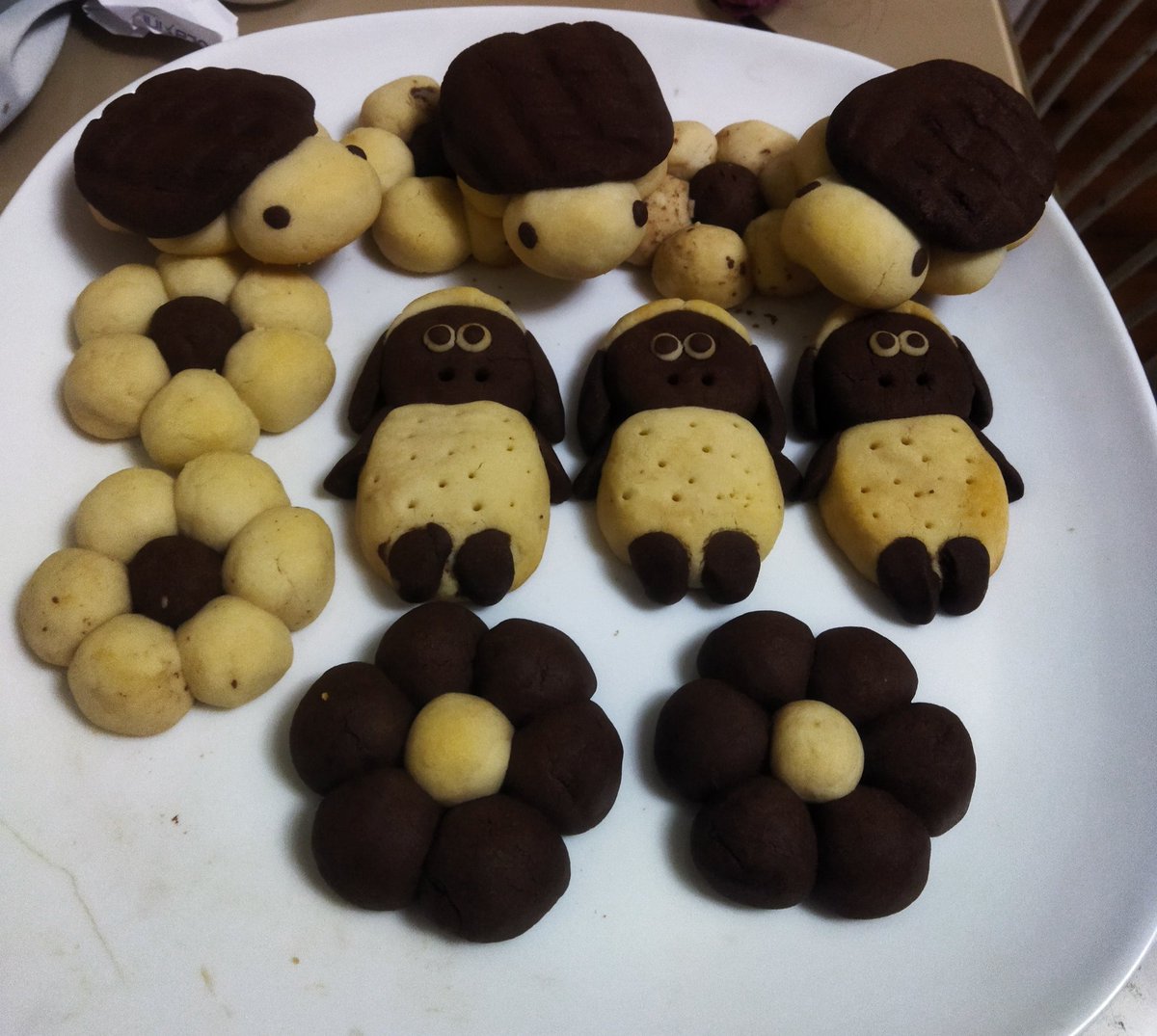 Evett yine o kurabiyelerden yaptım jwğshwkxyldjx