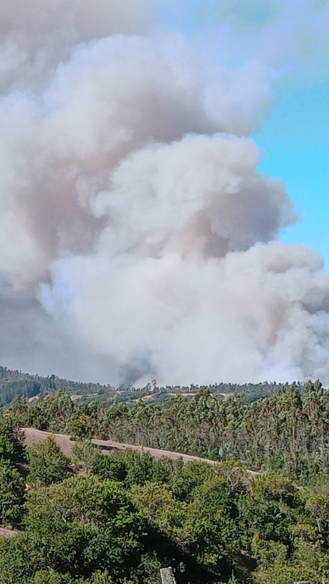 guigui_yo's tweet photo. #Urgente 
#Navidad
#RegionOhiggins
#BomberosOhiggins https://t.co/rs8oQmoksf
