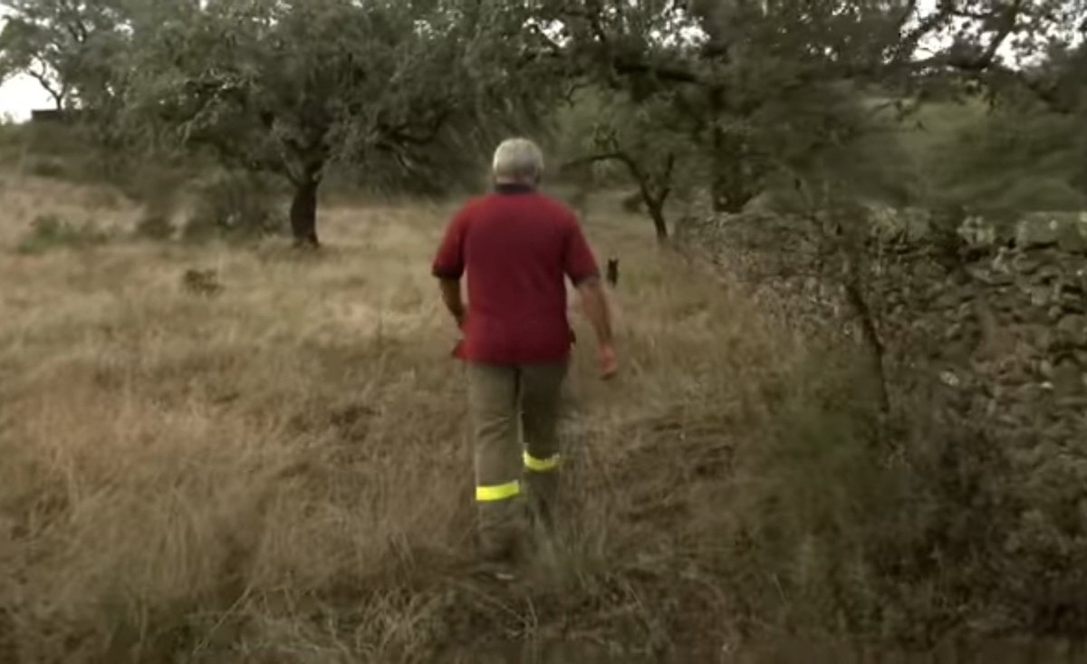 «Si aquí estamos cuatro días y dos son nublados»
Francisco Abarca

No hay mayor verdad, que la dicha por el compañero. Disfrutemos de todos los días, en los que estemos por aquí, haga el tiempo que haga.

#BuenasNoches