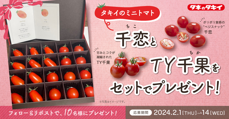 Takiiseed_1835's tweet photo. 📢フォロー&RTで応募完了✨
/
タキイのミニトマト🍅
『#千恋(ちこ)』と『#TY千果(ちか)』
セットで10名様にプレゼント🥳
\
≫応募条件
❶@Takiiseed_1835 をフォロー
❷この投稿をリツイート
≫応募締切
2月14日(水)
※当選はDMにてご連絡します
#タキイ #懸賞 #キャンペーン
#artiful https://t.co/tZMbh9ydcP