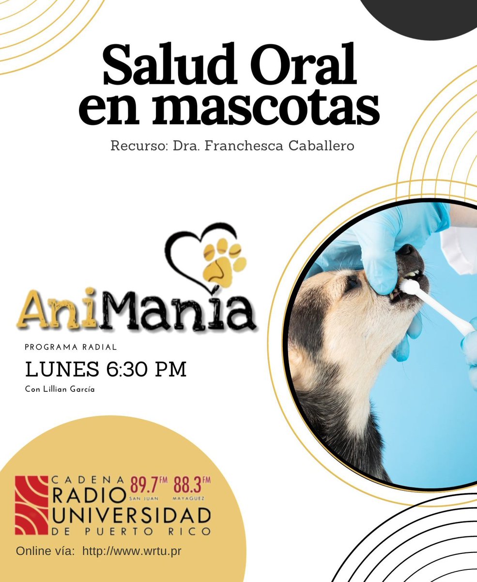 𝐀𝐧𝐢𝐌𝐚𝐧𝐢𝐚 próximo Lunes 6:30 p.m. @radioupr Tema: #SaludOral en mascotas Recurso: Dra. Franchesca Caballero, Médico Veterinario Escúchanos por: 89.7 FM en San Juan. 88.3 FM en Mayagüez. Y por wrtu.pr #RadioUPR #AniMania #MOSPBA #BienestarAnimal