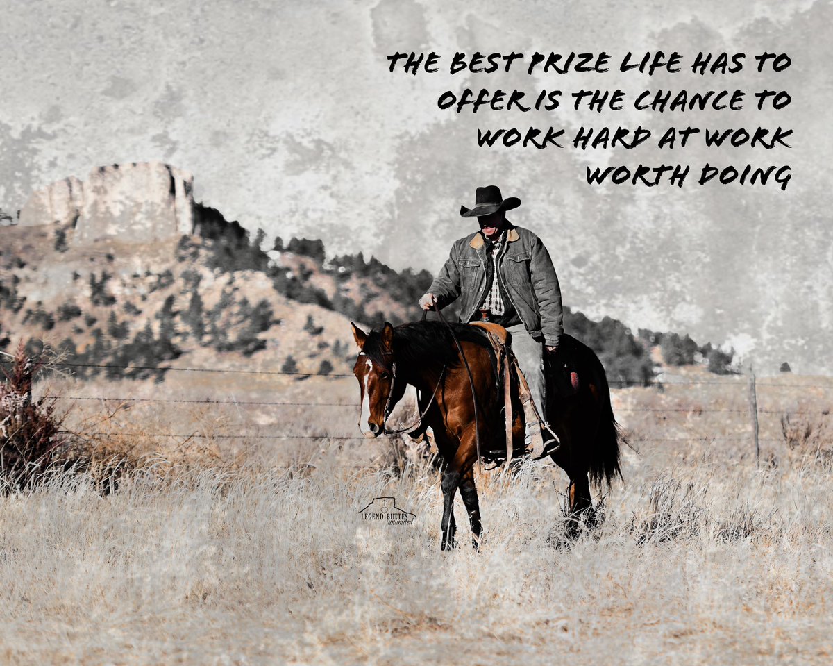 Robin (@21cowhorses) on Twitter photo 