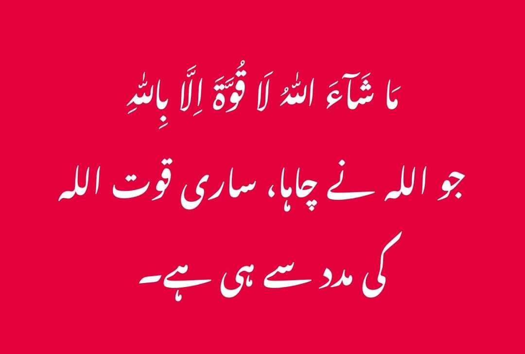 CA Rauf tweet media