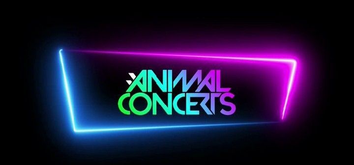 Stan_leeCrypto's tweet photo. Ready to rock your dancing shoes 💃?
Our virtual concerts is the perfect way to enjoy live music without leaving your house.
Grab you shoes and get ready to Rock and Roll 😎😉
@AnimalConcerts
#virtualconcerts #livemusicathome #ANML #Acsquad #AnimalConcerts https://t.co/asgQg2opfN