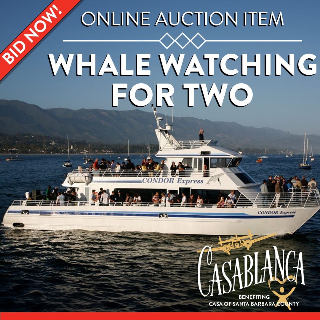 SB_CASA's tweet photo. Embark on an adventure for a cause! Bid in our online auction for a chance to set sail on the [Condor Express] and experience whale watching with a friend. 🐋 Auction ends Feb 7th at 5 PM. Place your bid now! 👉 https://t.co/utOZxsfWwV  @CONDORExpressSB https://t.co/TmGUGEFFYL