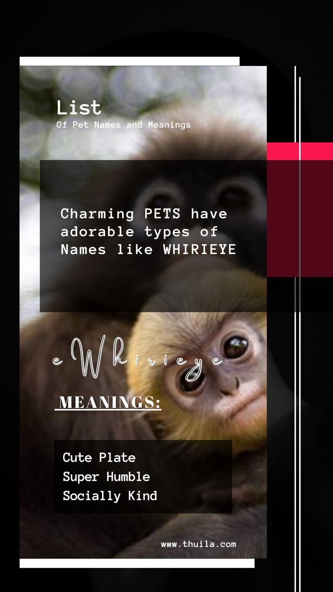 ThuilaLtd's tweet photo. LIST OF PETS NAME AND MEANING 

WHIRIEYE, EWHIRIEYE, also AWHIRIEYE 

MEANING; 
Cute Plate, Super Humble, Socially Kind 

https://t.co/o0acaIyjOr

#WHIRIEYE
#EWHIRIEYE
#AWHIRIEYE
#PETS
#PETSNAMES
#NAMES
#THUILA https://t.co/wqQk0yXTm7