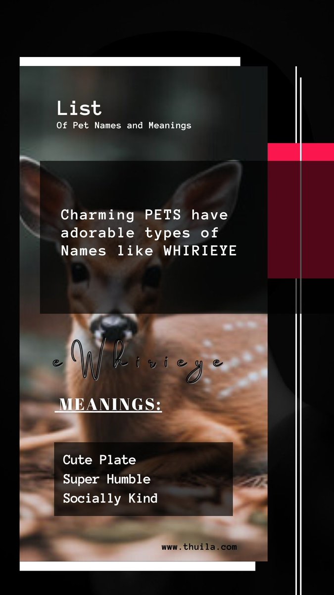 ThuilaLtd's tweet photo. LIST OF PETS NAME AND MEANING 

WHIRIEYE, EWHIRIEYE, also AWHIRIEYE 

MEANING; 
Cute Plate, Super Humble, Socially Kind 

https://t.co/o0acaIyjOr

#WHIRIEYE
#EWHIRIEYE
#AWHIRIEYE
#PETS
#PETSNAMES
#NAMES
#THUILA https://t.co/wqQk0yXTm7