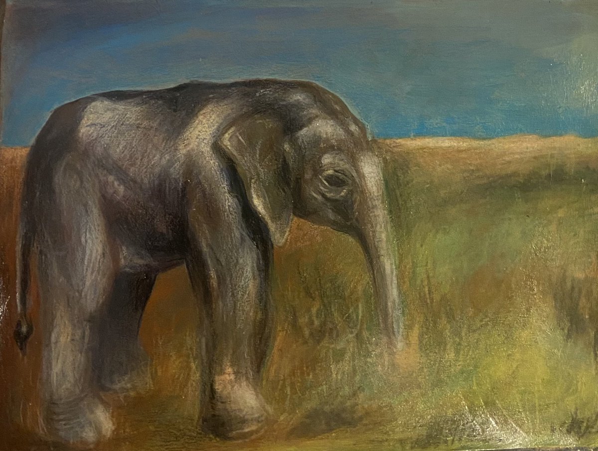 pariah23's tweet photo. Baby Elephant sketch. 5.5 x 7 pencil crayon https://t.co/Srr1yxyOkO