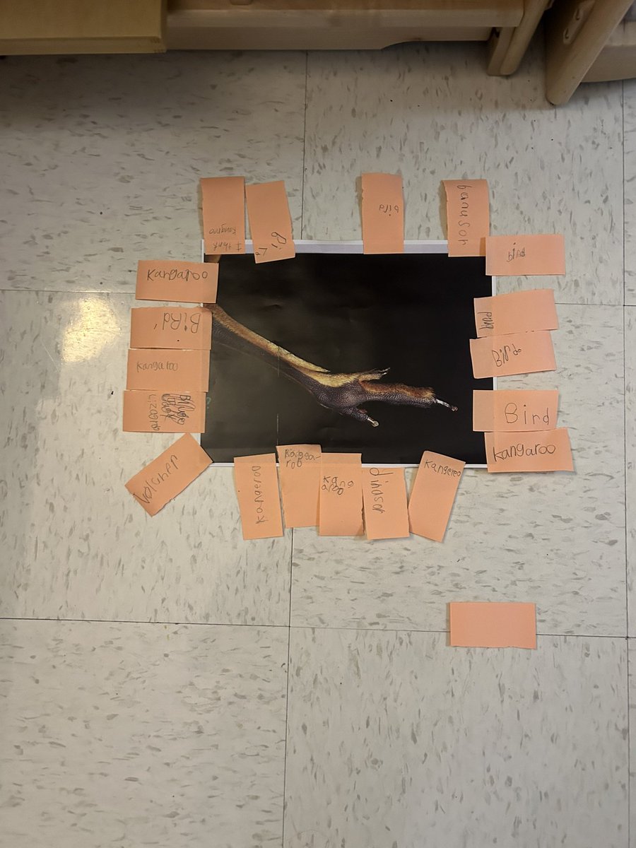 SkyleeRWatson's tweet photo. Working on our prediction skill! @Herfurth_Bronco  @HerfurthPTA  @gisdnews https://t.co/xpCSVlXs9b