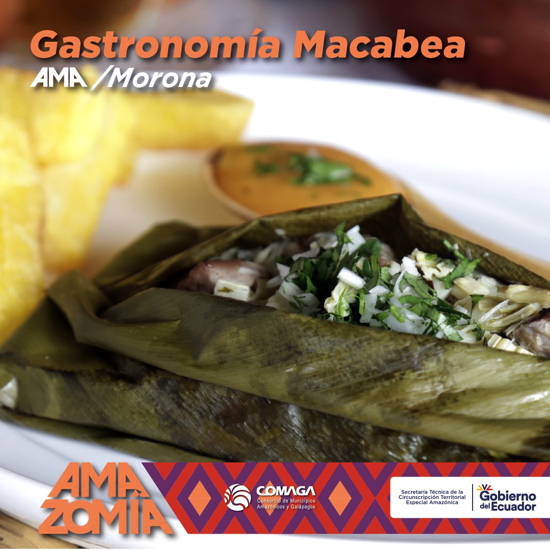 AMA MORONA, Sumérgete en la exquisita cocina típica macabea, que cautiva con sus ingredientes, presentación y un toque mágico de sabor. El Ayampaco, envuelto en hoja de bijao, es una delicia representativa de nuestra ciudad, acompañado de yuca y la irresistible guayusa.