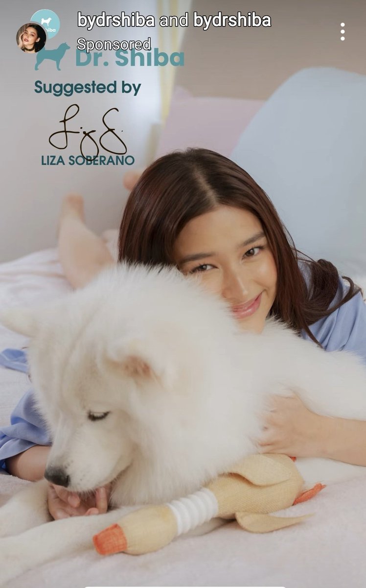 🥰 Dr Shiba as suggested by furmama Liza Soberano & furbaby Yuna 🥰 Cuties ☺🥰