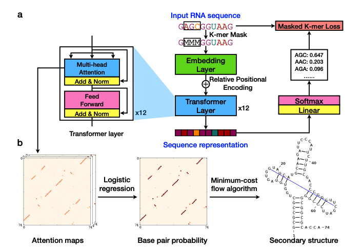 Kevin K. Yang 楊凱筌 tweet media