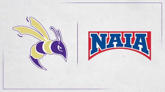 Desmond Coleman 2024 Wr tweet media