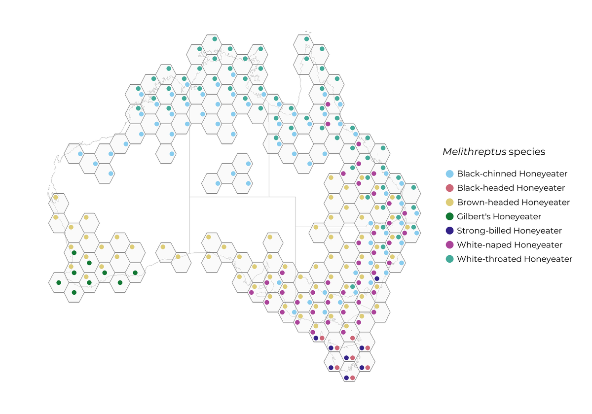 Ever wanted to display several species distributions on a map 🗺️ at one time in #rstats? Learn one way to use hexagons & points to display overlapping distributions 📊 in a new ALA Labs post by Callum Waite & @ShandiyaB! 🔗 labs.ala.org.au/posts/2024-01-… #dataviz #ggplot2 #QuartoPub