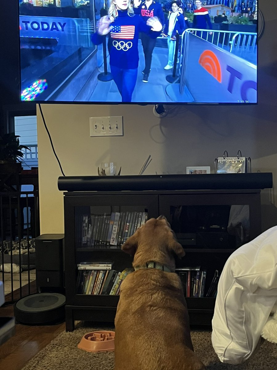 KSLbbruce's tweet photo. At our house, we watch @KSL5TV. I wasn’t fast enough to catch Rey the foster fail fangirling @KSL_Matt but it happened! 😂 #kslam @kslnewsradio #fosterfail #bassador #dogsofx https://t.co/0bsxhTRLwv