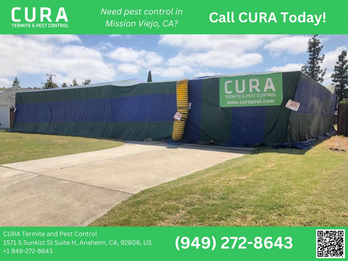 Experience top-tier pest control in Mission Viejo with CURA Termite and Pest Control!

Our dedicated team is committed to safeguarding your home from unwanted guests, ensuring a pest-free environment for you and your family.

bit.ly/3uePjSw