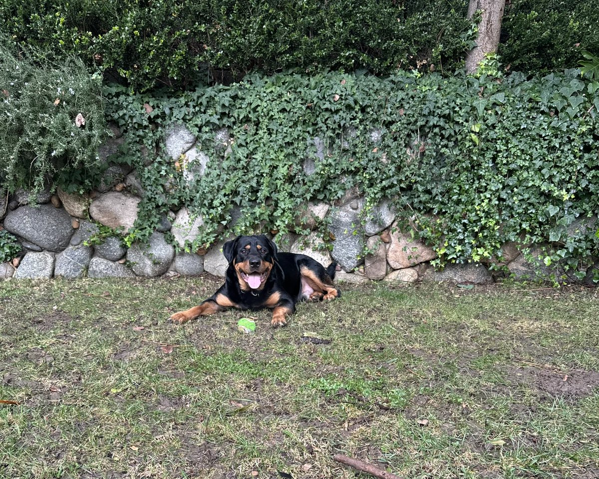 Chop gets more girls than me