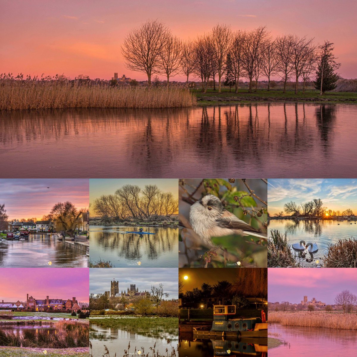 VeronicaJoPo's tweet photo. January 2024 has came to an end 🌬️ 
We had a lot of wind and rain, also some amazing and beautiful scenery here in The Fens. Theses are some of my favourite photos I have taken this month 🙏🏻🥰🦢🧡🤗
Thank you for many wonderful memories ❤️ #January2024 #ThankYouJanuary #TheFens https://t.co/4Vkpmr9gqn