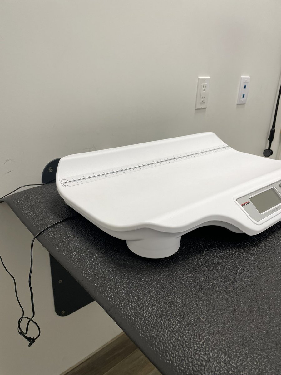 Sandra the Great 𐕣 tweet media