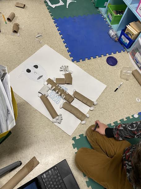 SwansonL16's tweet photo. Sneak peak of our 3-D Human Body System models! We used items such as paper towel rolls, yarn, cotton balls, straws, balloons, and plastic bottles to make the different parts of each body system. @EphesusElem https://t.co/HqSfCuHHVN