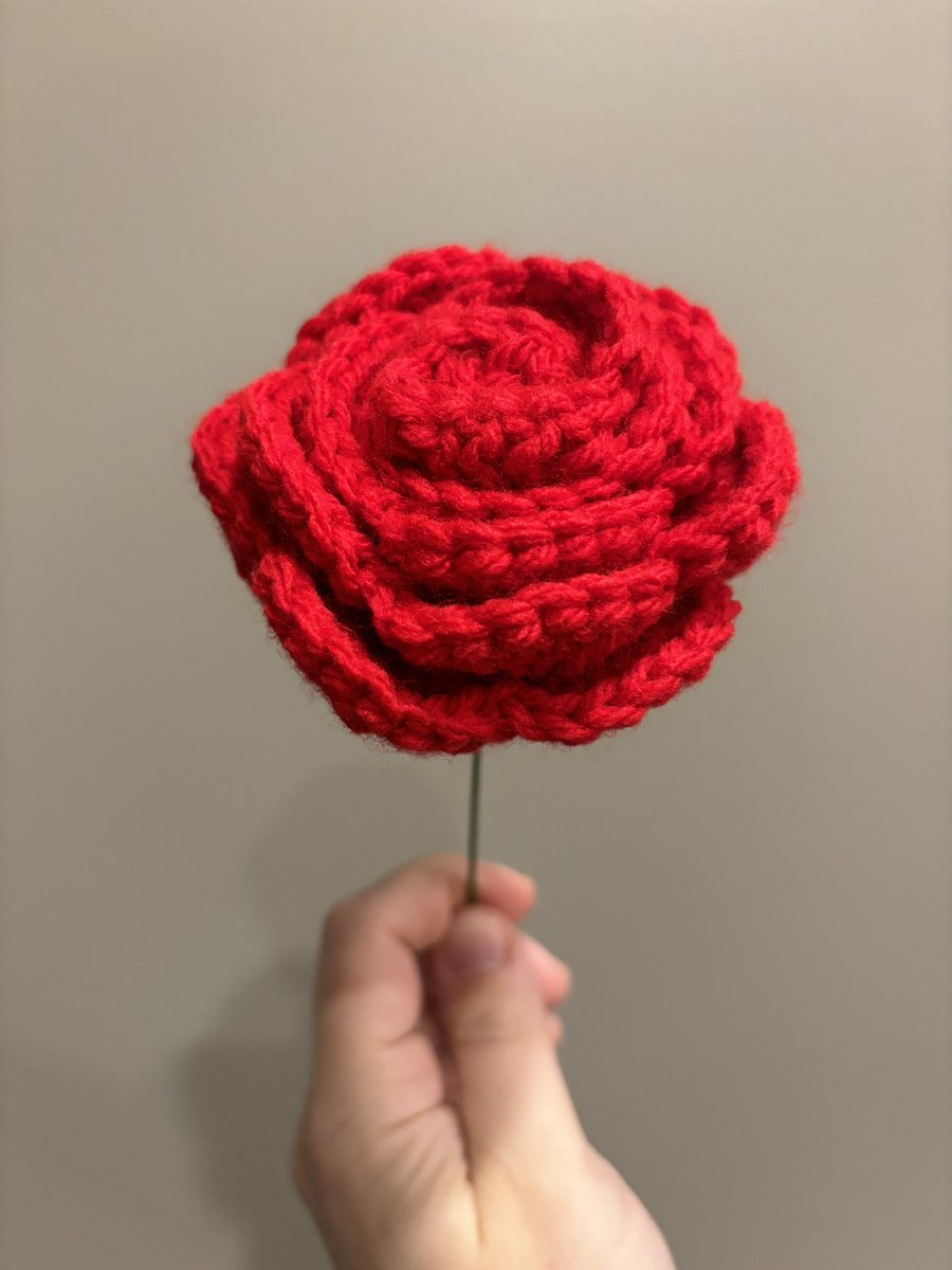 ItsmeRadley's tweet photo. Officially finished all my crochet Valentine’s Day gifts! In total I did 1 small bee, 2 large plushie bees, 4 individual roses, and a small rose bouquet!!! https://t.co/94H8f7S50u