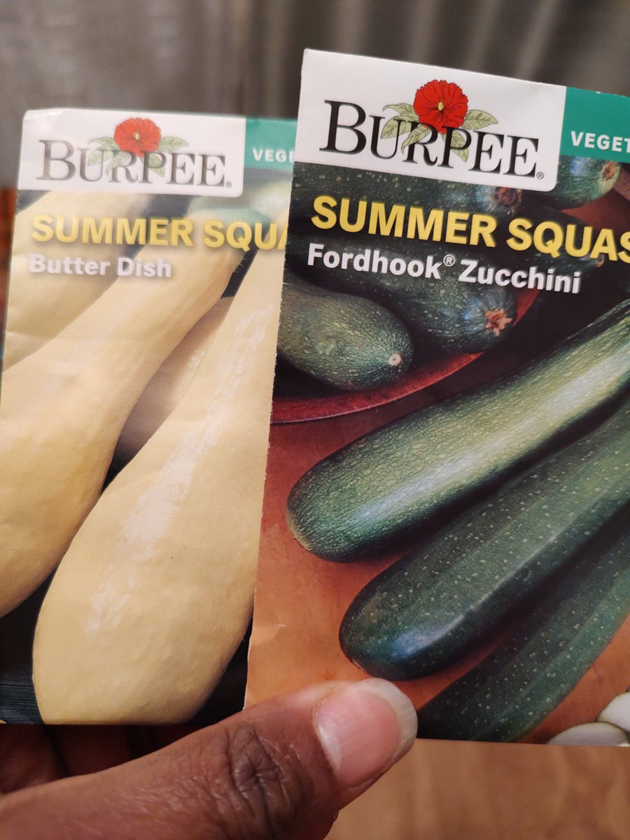 colorblindwork's tweet photo. Breaking out the @BurpeeGardening seeds! Looking forward to stir frying these with onions in a few months!
#gardening #vegetables #letsgrowsomething ! #colorblindwork #plantlady https://t.co/oHQ0QD0q7e