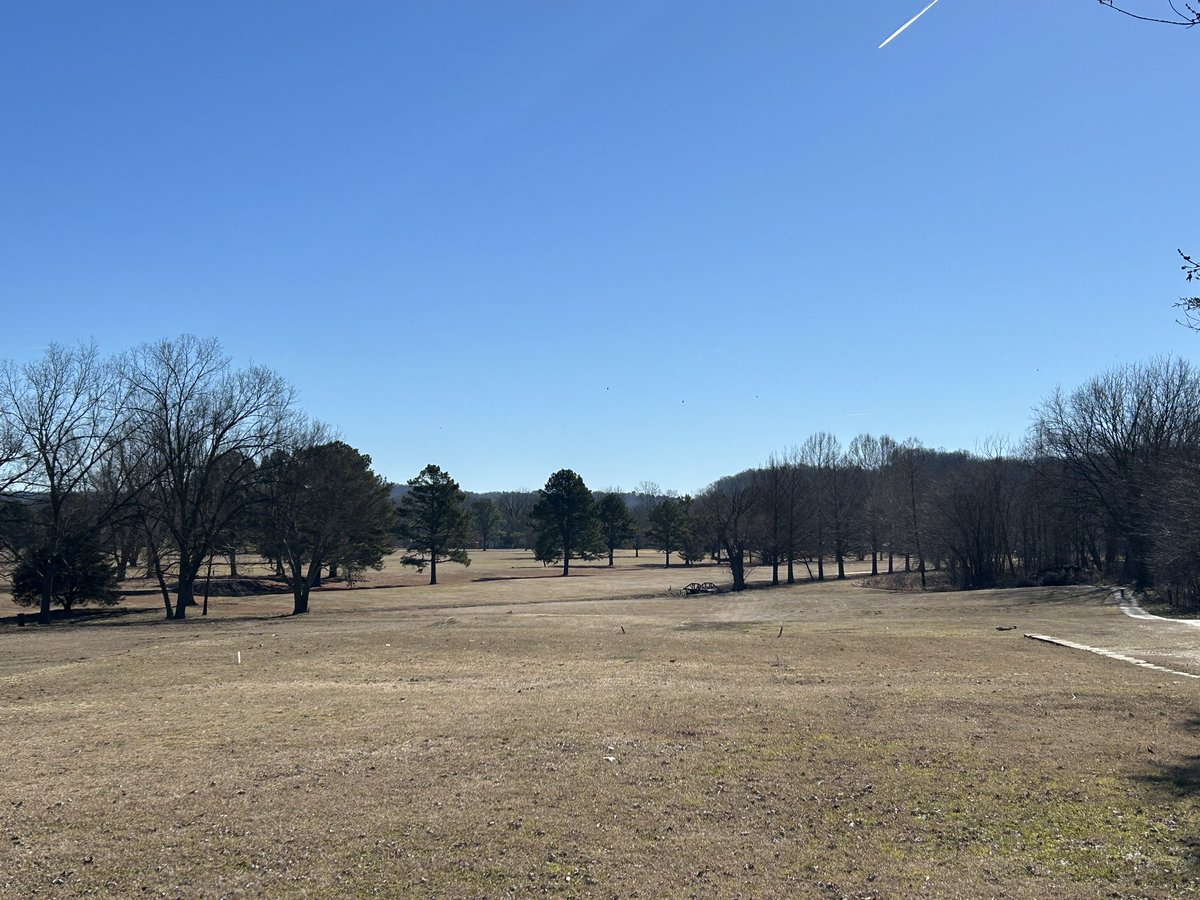 Mitch Mullen tweet media