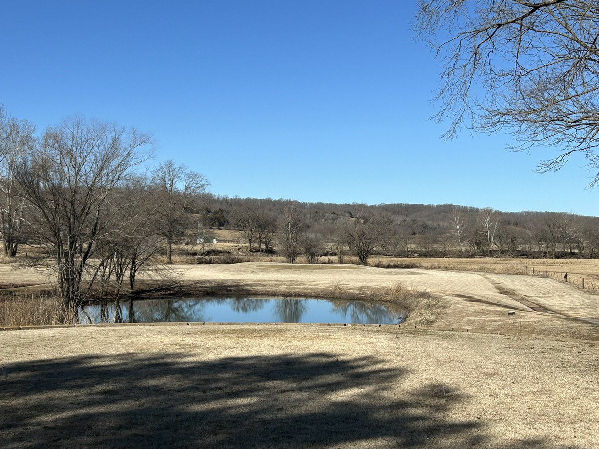 Mitch Mullen tweet media