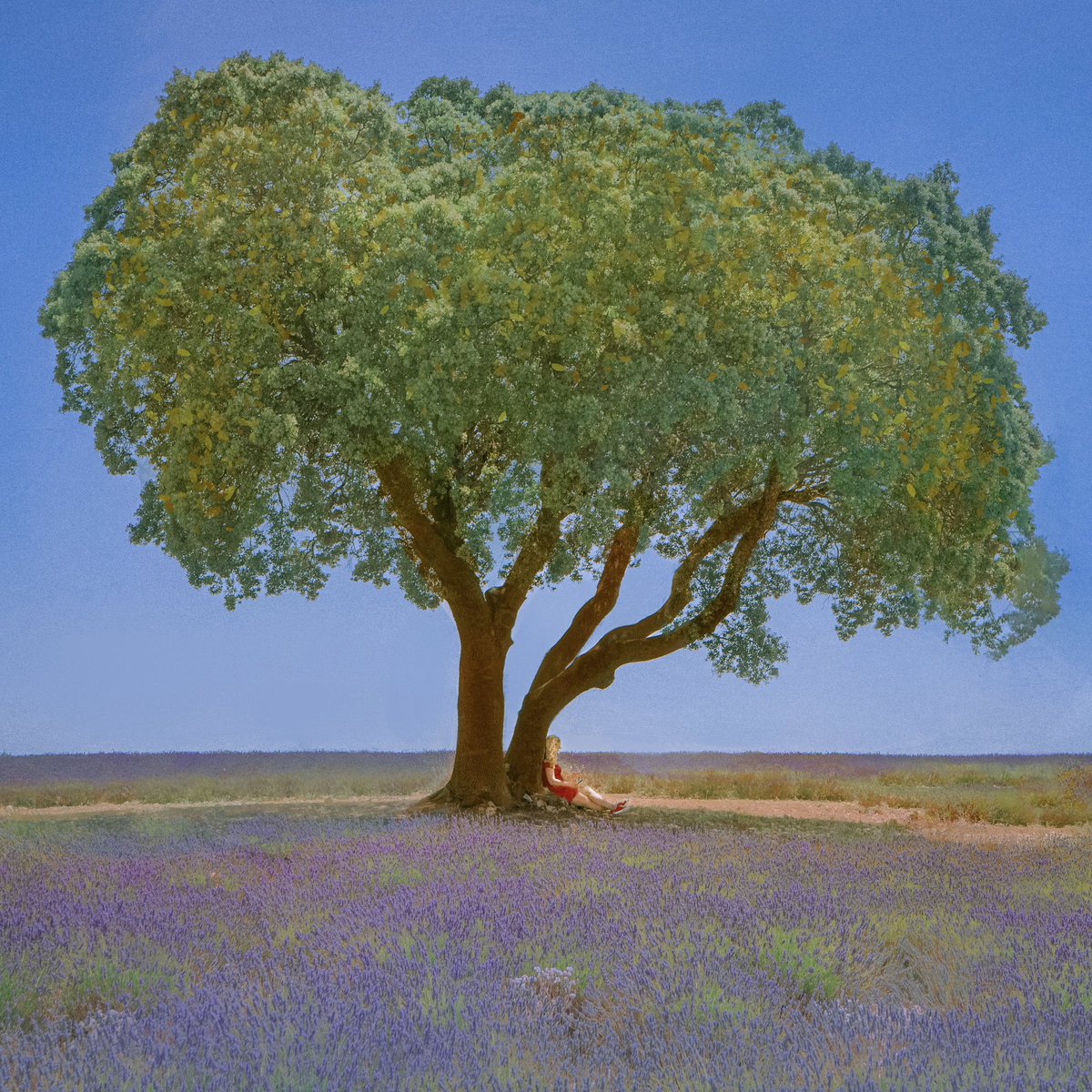 Samantha Cavet tweet media