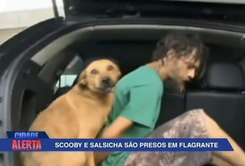 lendo_conversas's tweet image. Segue o fio 🧶 obs: As maiores pérolas do jornalismo - Thread