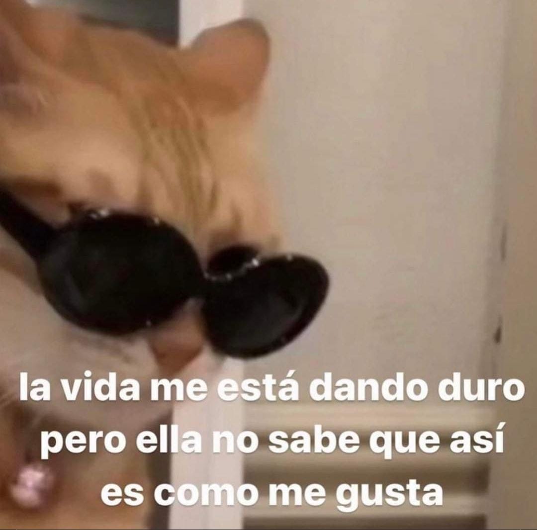 TraumeMonster's tweet photo. Me tiene de a perrito :) https://t.co/SChSEgUoL0