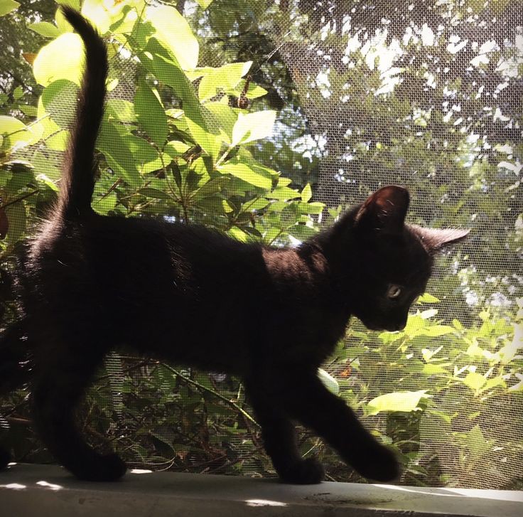 ssupdrmn's tweet image. ︎︎ ︎

                    jaó.⠀° sns update !
                    "Hello, tl! Nagbabalik"
︎︎︎ ︎
︎︎ ︎