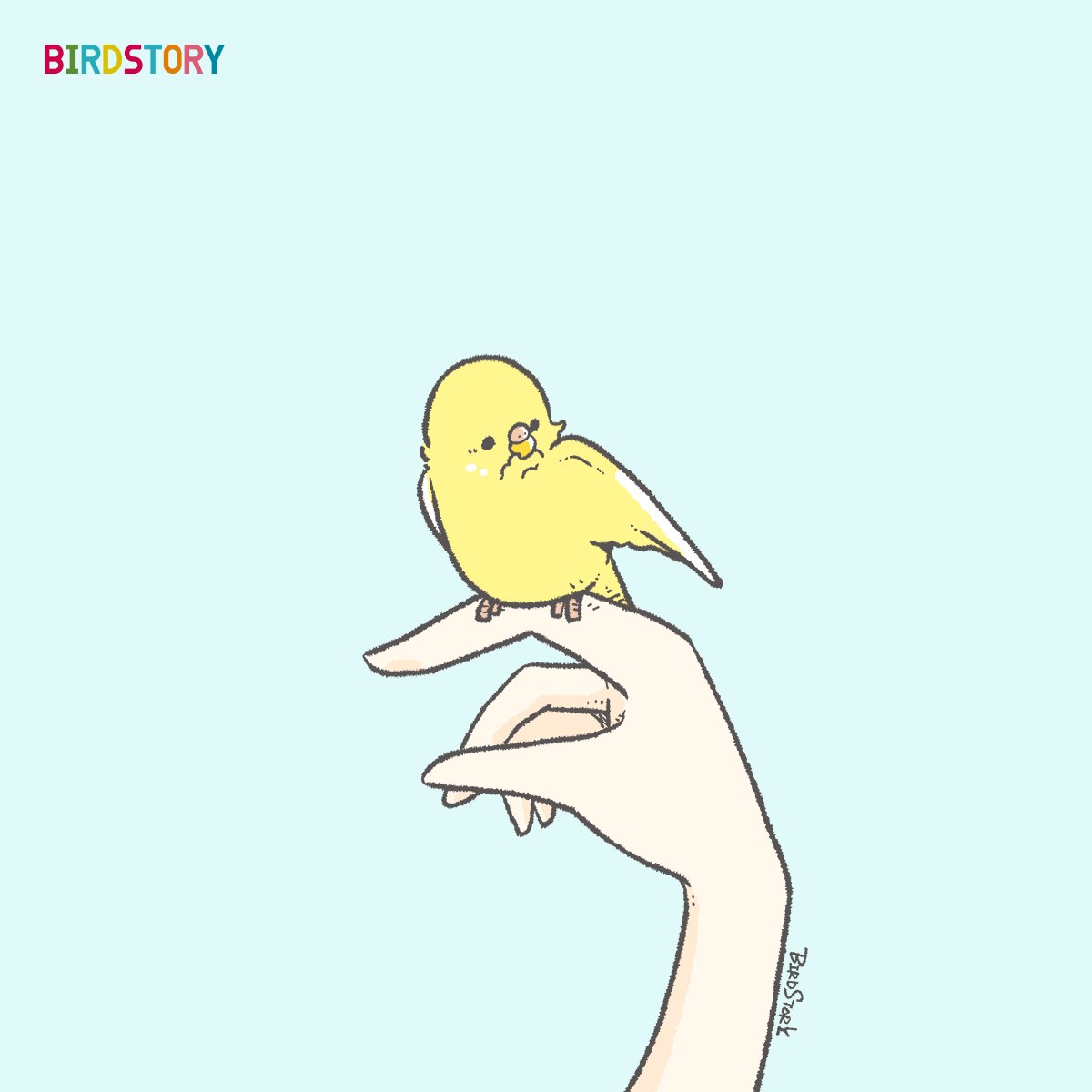 「おはようございます。本日は2月1日、語呂合わせから、ニオイの日とのことです羽繕い」|BIRDSTORYのイラスト