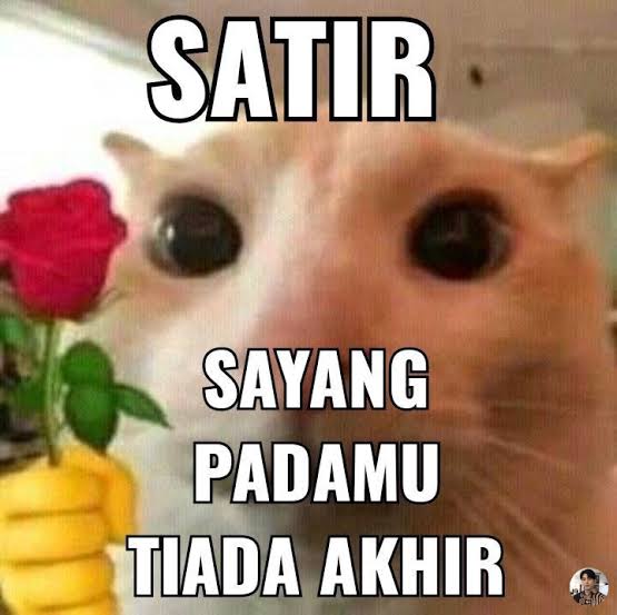 ❤️❤️❤️
