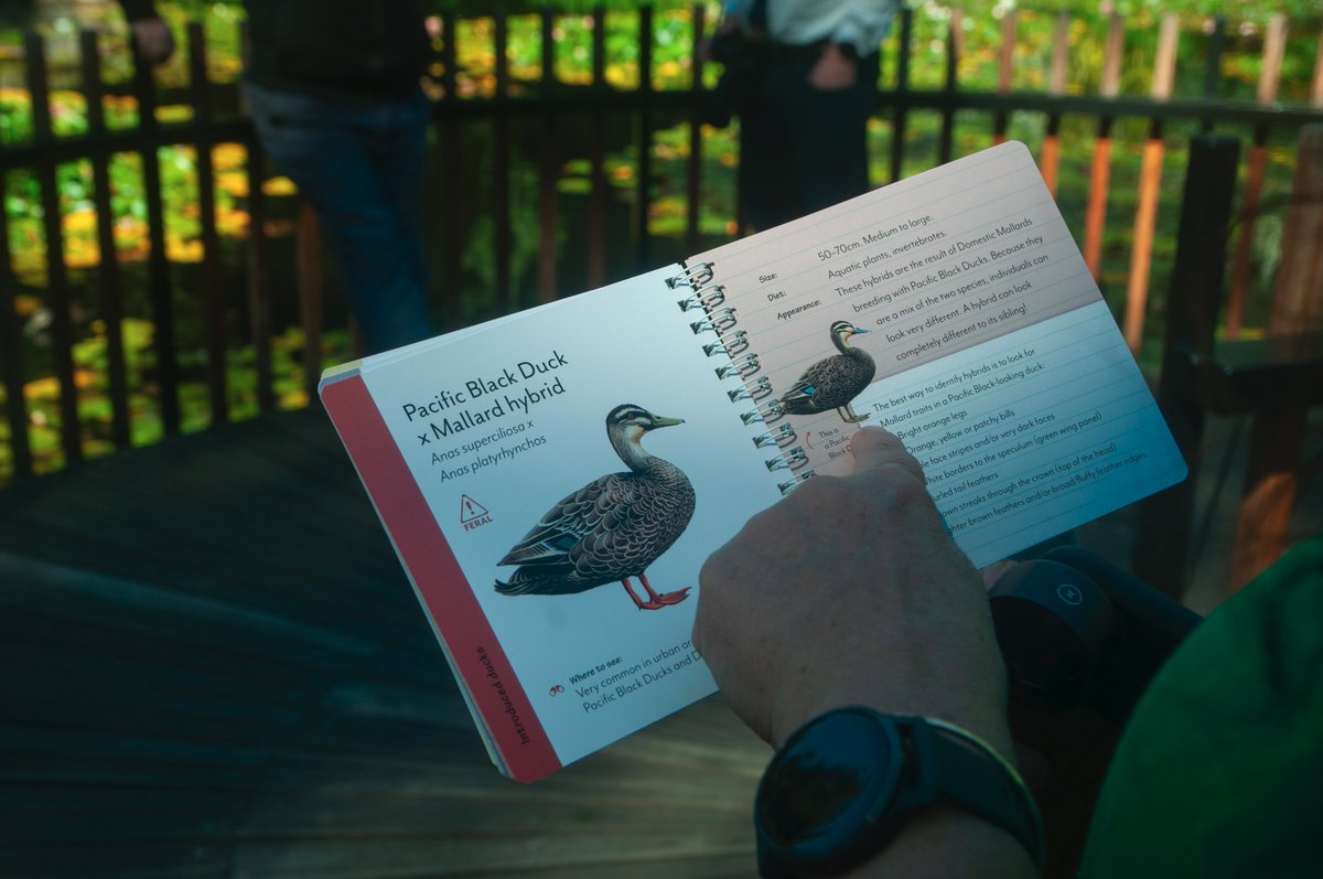 NRM SOUTH tweet media