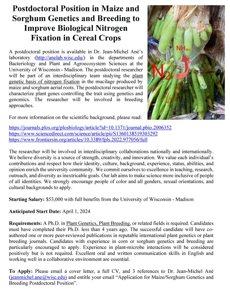 Postdoc position in my lab to study plant genes controlling nitrogen fixation on maize and sorghum aerial roots and continue the breeding effort. We have the loci in maize and sorghum... Now, who wants to find the genes? @CoopMaize @ASPB @plantae_org @plantpostdocs Please RT!