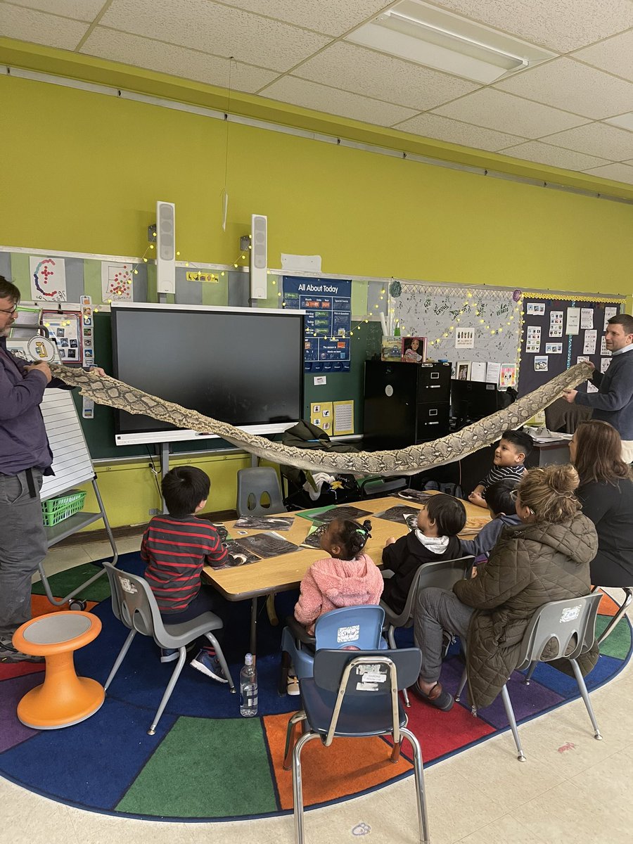 MsFuentes2023's tweet image. Winter Highlights! 
❄️
❄️
❄️
#RISE #ossiningufsd @SpEdAstDirector @EMercadoAP @ParkPrinc