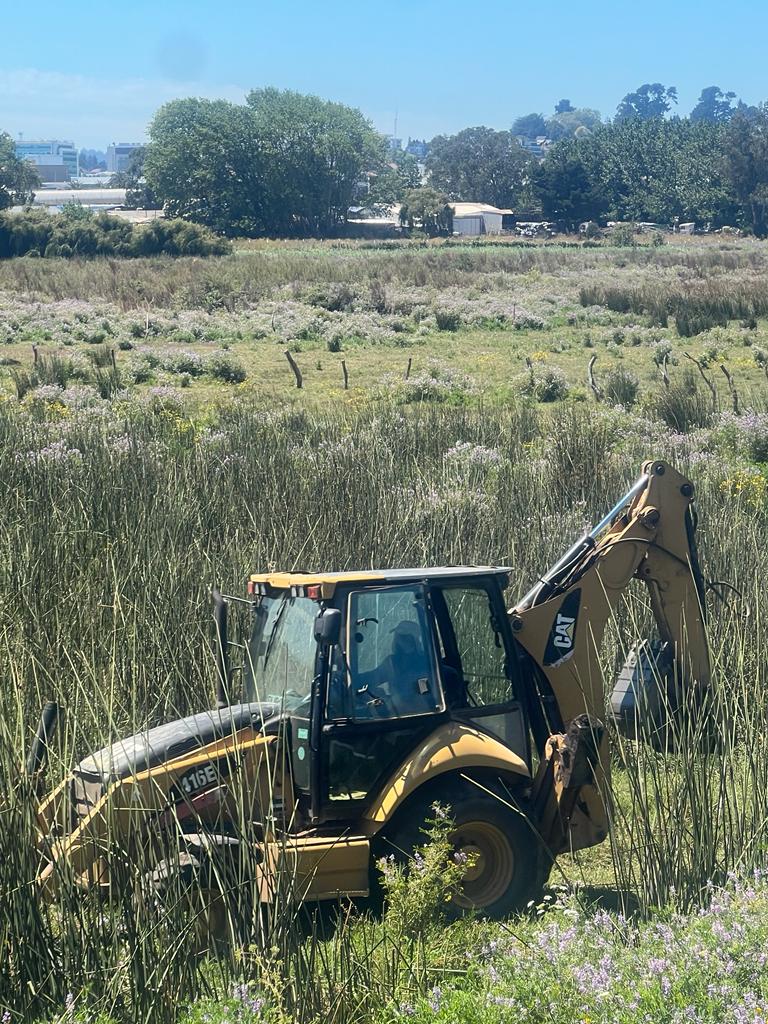 Red Humedales del Bío Bío tweet media