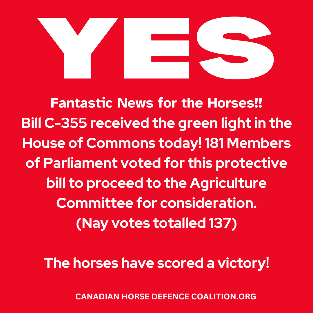 Thank you to everyone who sent letters, called and met with MPs about this important issue!
See how your MP voted here: bit.ly/3Ui0pRf