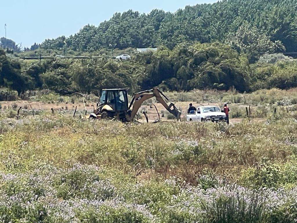 Red Humedales del Bío Bío tweet media