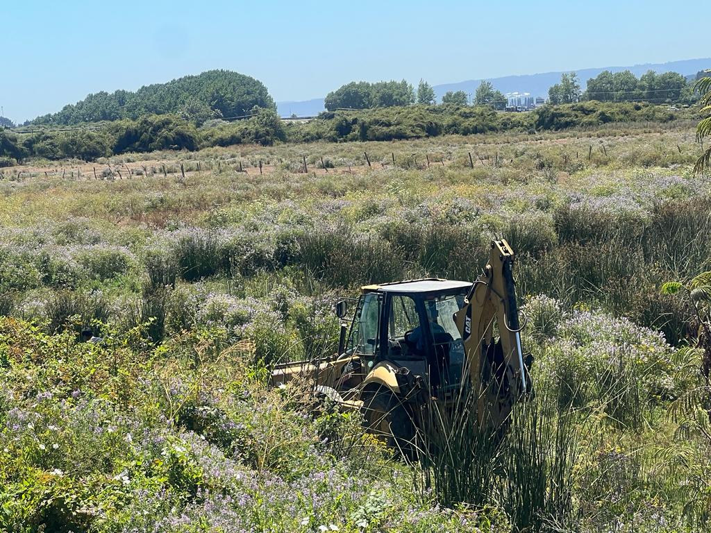 Red Humedales del Bío Bío tweet media