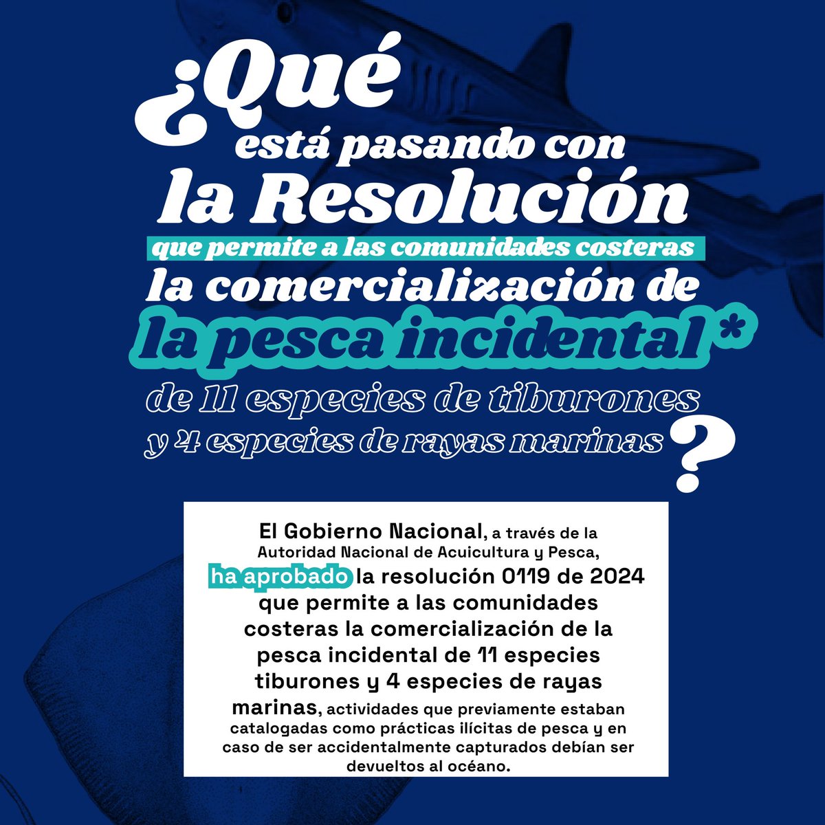 JuanKarloslos's tweet photo. Solicitamos a la @AUNAPColombia revocar la Resolución 0119 de 2024 por su inconveniencia, y que generemos un espacio de trabajo junto a expertos para la adecuada gestión del recurso hidrobiológico y pesquero de nuestro país.

Tenemos un marco regulatorio que adolece de cumplimiento eficaz y hacia allá debemos dirigirnos.