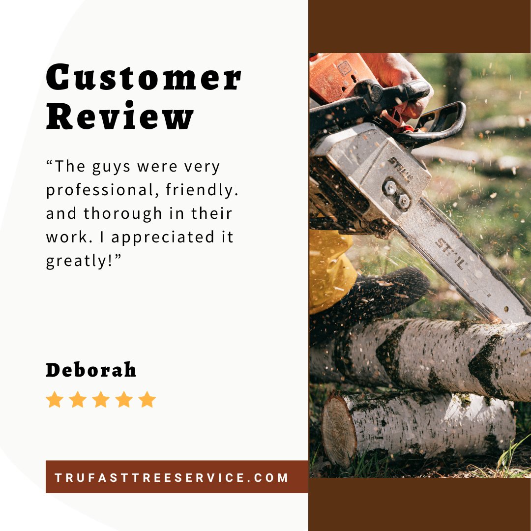 Grateful for you, Deborah! 😀

#springfieldmo #417land #ozarkmo #417smallbusiness #trufasttreeservice