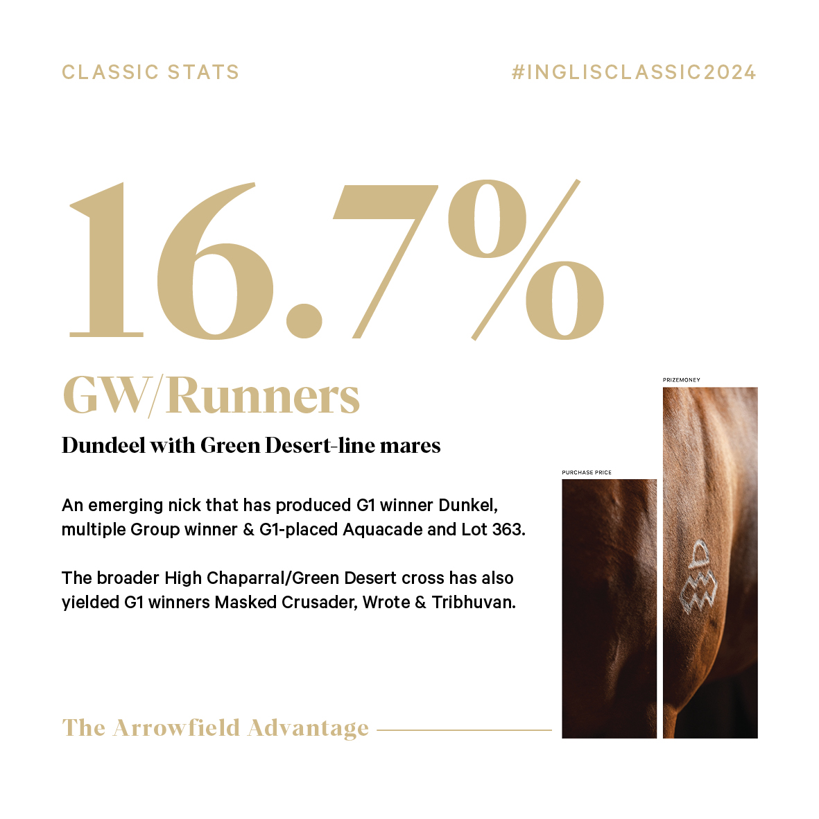 ArrowfieldStud's tweet photo. Multiple GW & G1-placed mare Aquacade and G1 Derby winner Dunkel are both bred on this cross.
#Lot363 #classicstats #inglisclassic #arrowfield #thearrowfieldadvantage https://t.co/o4mgLFW5zX
