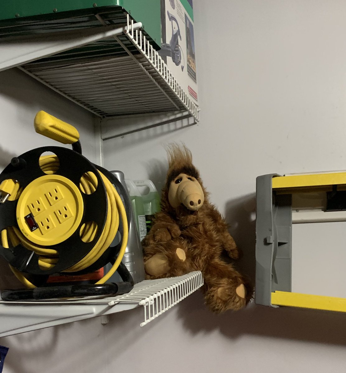 motoshwa's tweet photo. @OverDrive1050 #ALF #Melmac https://t.co/4wNy8Pzz0p