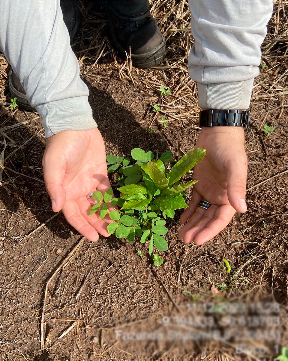 Black Jaguar Foundation tweet media