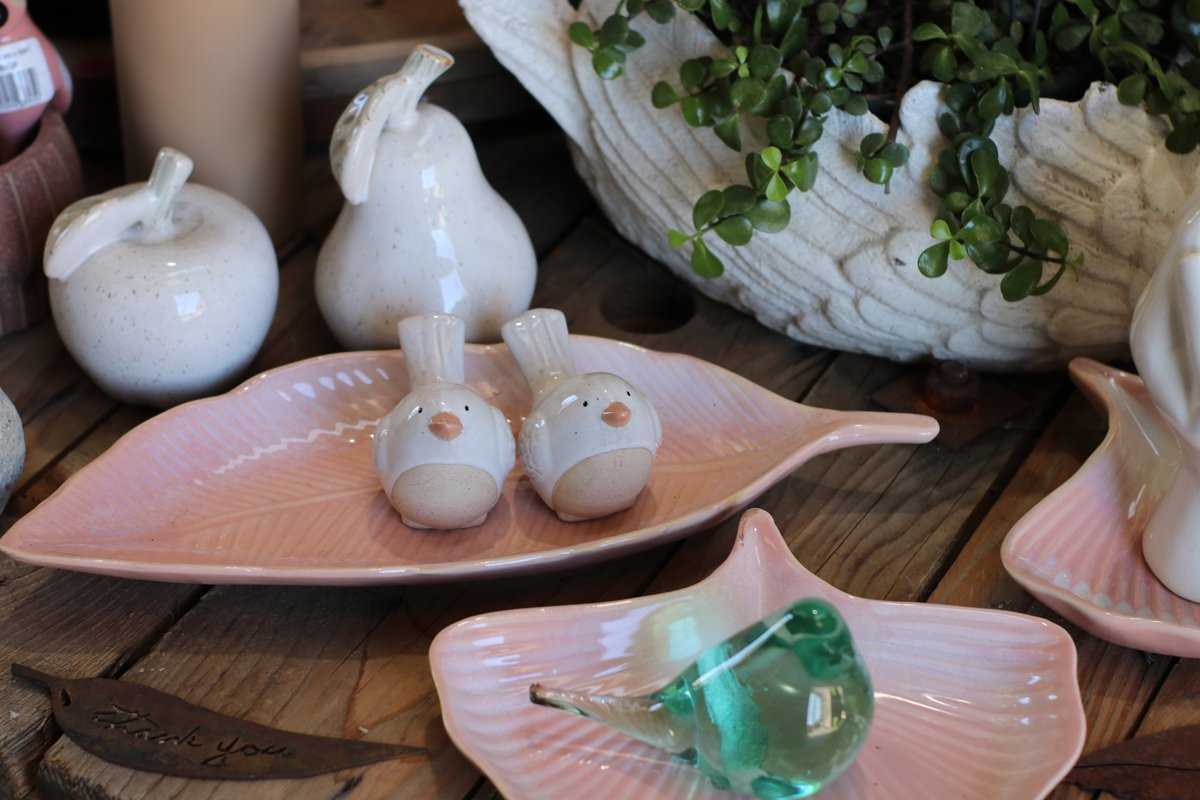 _wpp_'s tweet photo. Welcome to February!

We have some beautiful new stock and some awesome gift ideas for Valentines day and Mother's Day

#wholesaleplantsandproducts #outdoorplants #newstockdaily #floristsofadelaide #gardencentresofadelaide #rareplants #limitednumbers #plantcollectors... https://t.co/W5RlThznKs